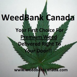 Weed Bank Canada Premium Weed