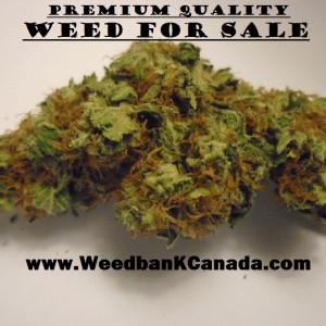Weed For Sale
